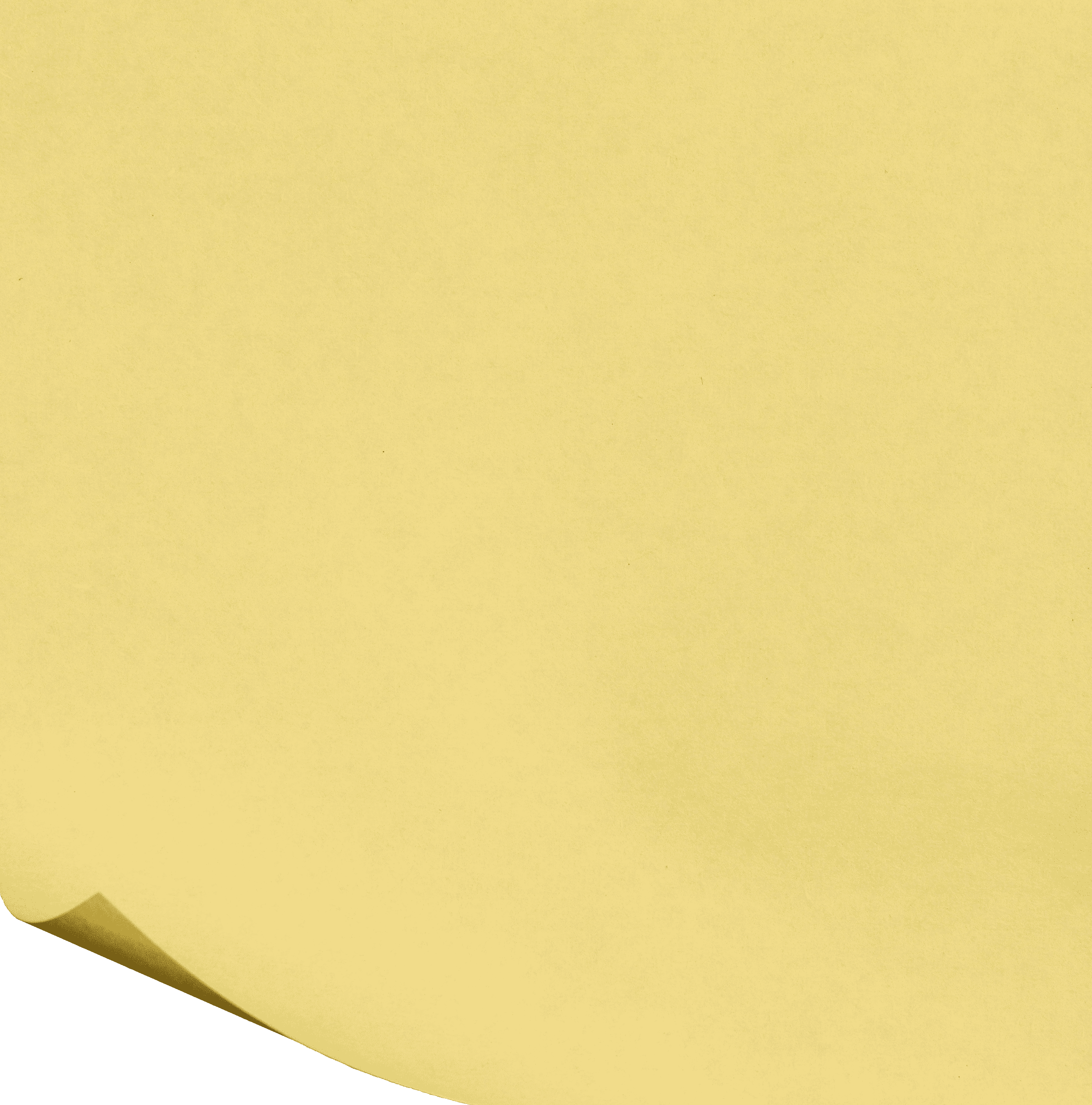 Market Research & Insights