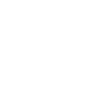 Shoe Co — Summer Campaign logo